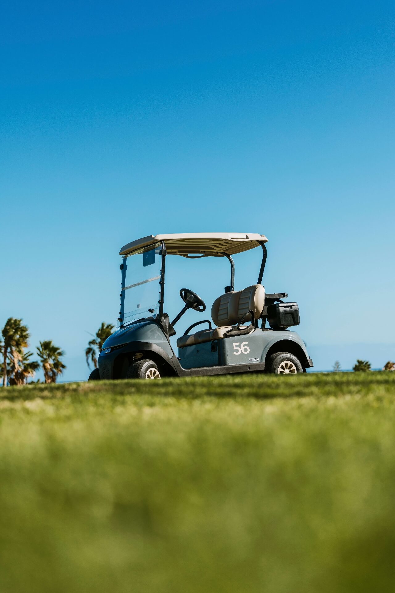 E-Z-GO Cart with PACE GPS