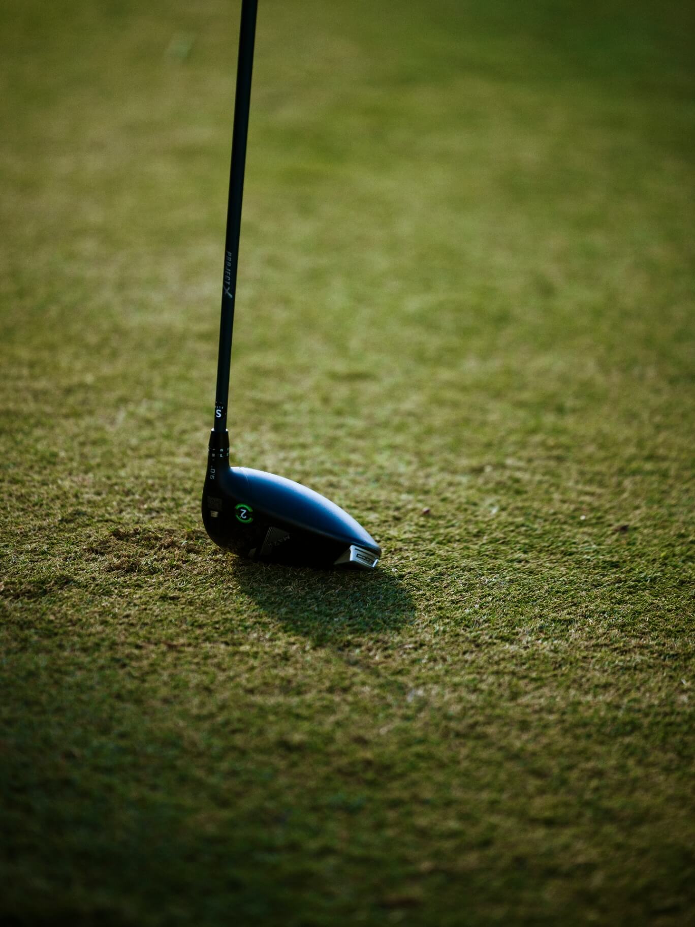 Driver on the fairway