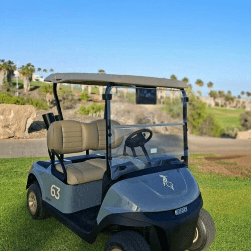 Nueva flota de buggies EZ-GO