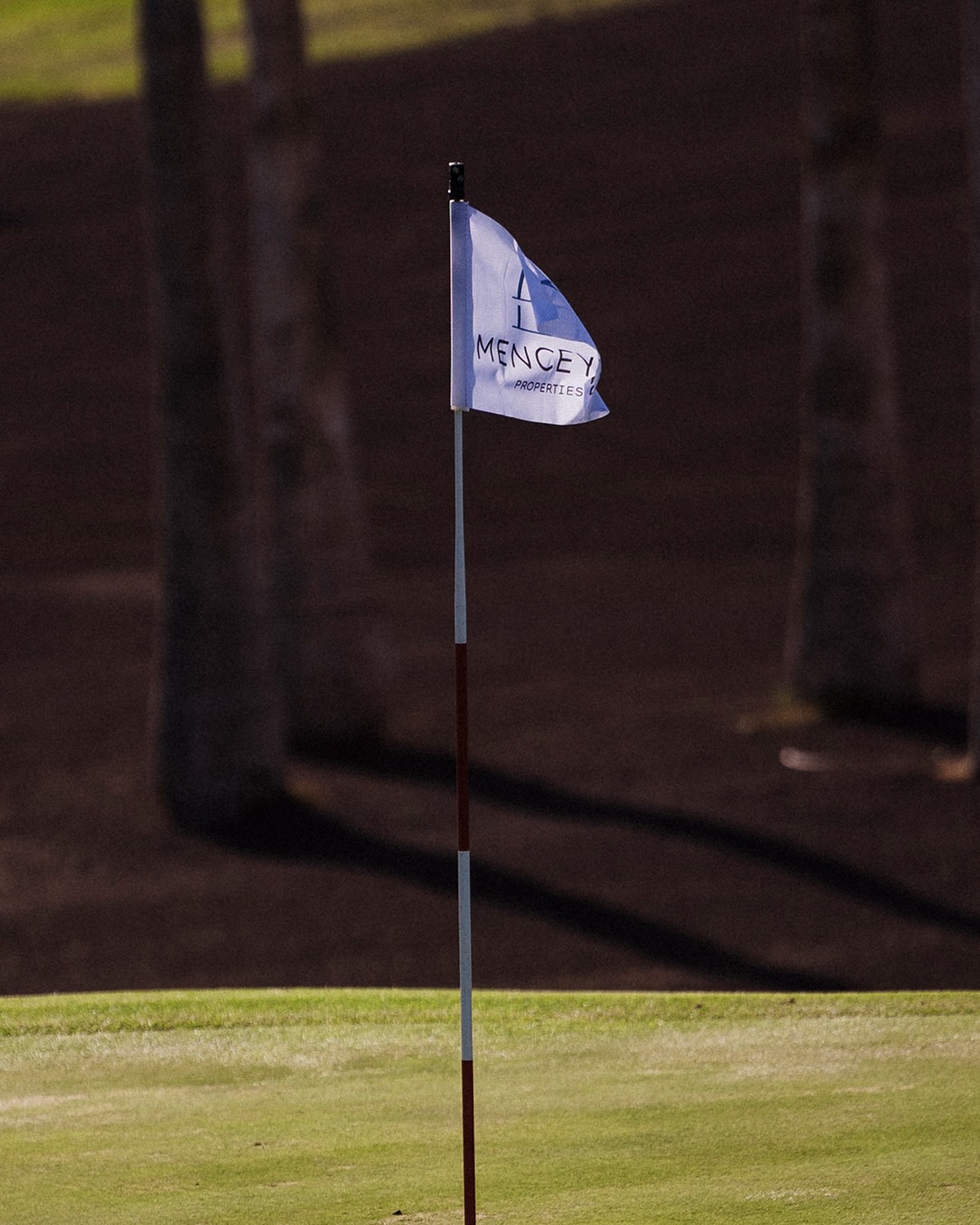 Golf del Sur tuvo el orgullo de acoger el torneo Golf & Fun Tenerife.